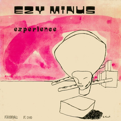 Ezy Minus - Experience