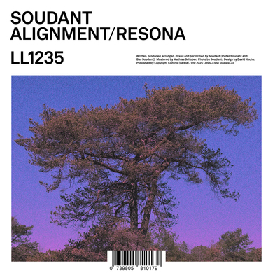 Soudant - Alignment / Resona