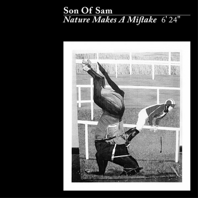 Son Of Sam - Nature Makes A Mistake