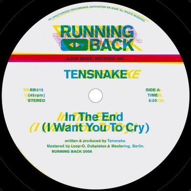 Tensnake - In The End (I Want You to Cry)