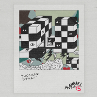 Tuccillo - Stray