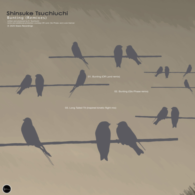 Shinsuke Tsuchiuchi - Bunting