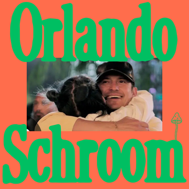 Magma Boyz - Orlando Schroom