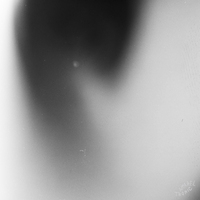 Dear Stream - Bricolage