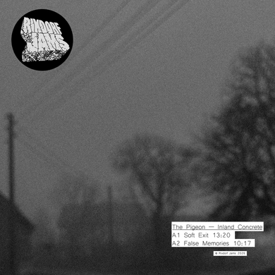 The Pigeon - Inland Concrete