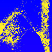 Perzeptiverdampfkesselqualmtbesinnlich - newHcr!s!s