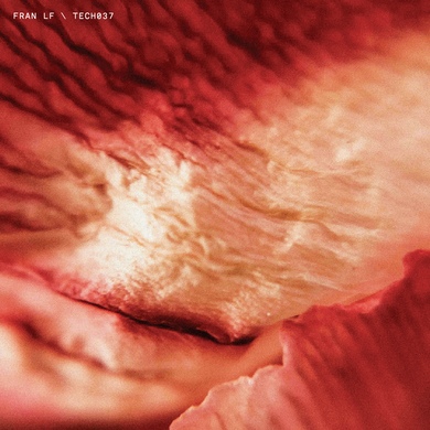 Fran LF - TECH037