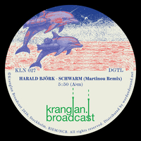 Harald Björk - Schwarm