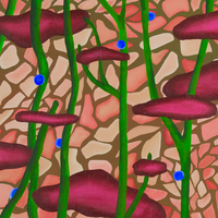 molto morbidi - Brought About