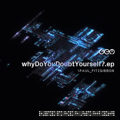 Paul Fitzgibbon - Why Do You Doubt Yourself?