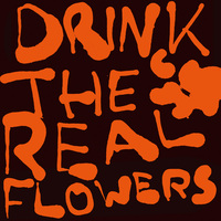 ddwy - Drink The Real Flowers