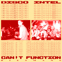 Biesmans - Disco Intel / Can't Function