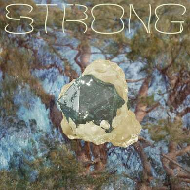 Ant Antic - Strong