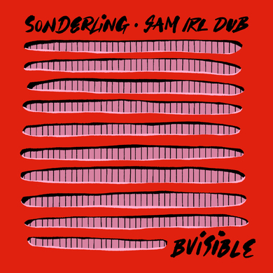 B.Visible, Sam Irl - Sonderling