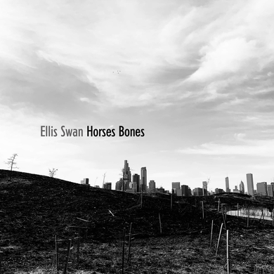 Ellis Swan - Horses Bones