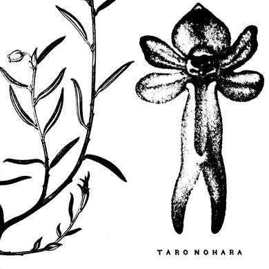 Taro Nohara - Poly-Time Soundscapes / Forest Of The Shrine