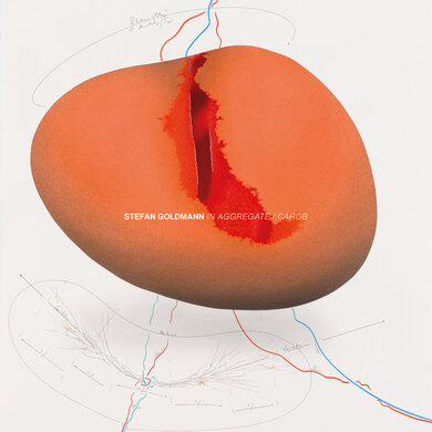 Stefan Goldmann - In Aggregate / Carob