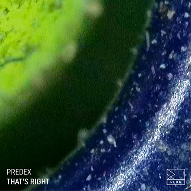 Predex - That's Right EP
