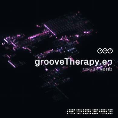 Shaun Moses - Groove Therapy