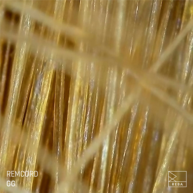 Remcord - GG Ep