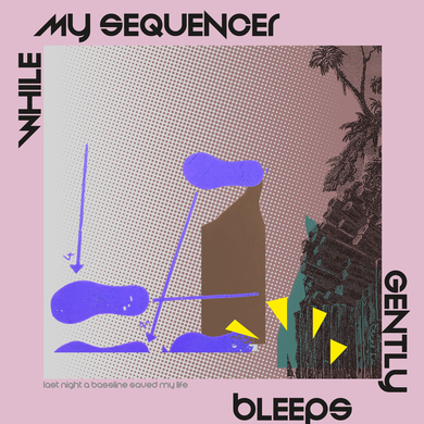 While My Sequencer Gently Bleeps - Last Night a Bassline Saved My Life