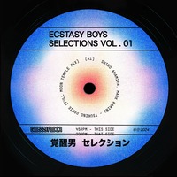 Ecstasy Boys - Ecstasy Boys - Selections Vol. 1
