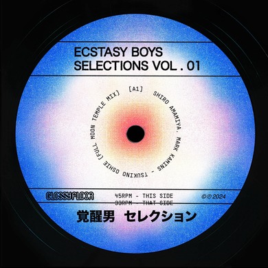 Ecstasy Boys - Ecstasy Boys - Selections Vol. 1