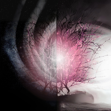 Winterlight - Winterlight Body EP