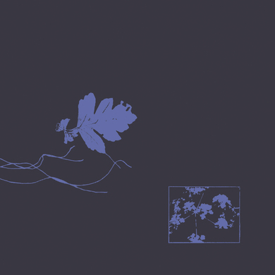 Plants Heal - Forest Dwellers