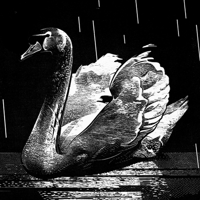 Voice Of Tone - Failure To Return