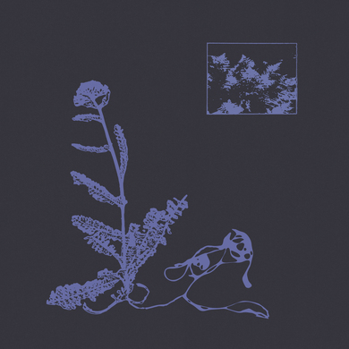 Plants Heal - Space Ballad