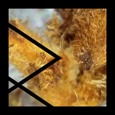 Remcord - AFTR Midnight EP