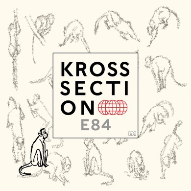 Kross Section - E84