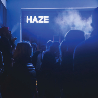 Fluxion - Haze