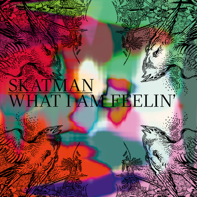 Skatman - What I Am Feelin'