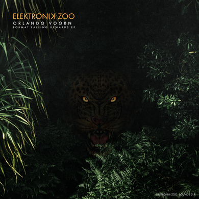 Orlando Voorn - Format Falling Upwards EP