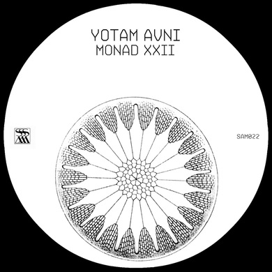 Yotam Avni - Monad XXII