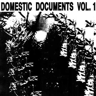 Various Artists - Domestic Documents Vol 1: Compiled By Butter Sessions and Noise In My Head