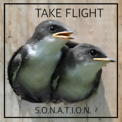 S.O.N.A.T.I.O.N. & Banco de Gaia - Take Flight