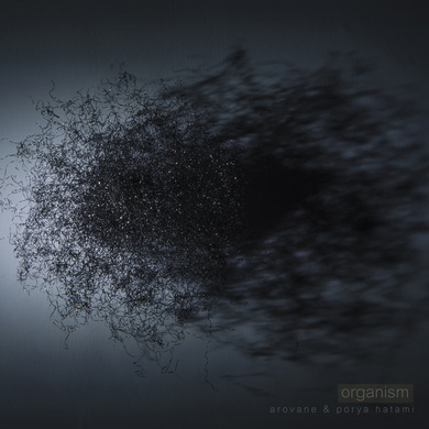 Arovane & Porya Hatami - Organism