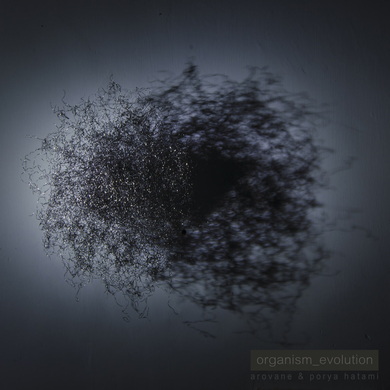 Arovane & Porya Hatami - Organism_evolution