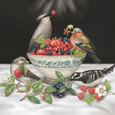 Sparrows - Berries