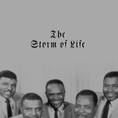 Various Artists - The Storm of Life