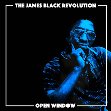 The James Black Revolution - Open Window