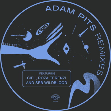 Adam Pits & Roza Terenzi - Motion Sensor (Roza Terenzi Remix)