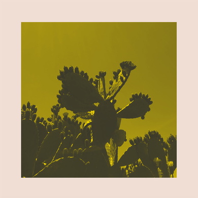 Bright & Findlay - Leave It All Behind