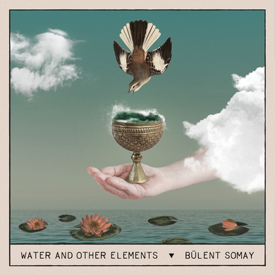 Bülent Somay - Water and Other Elements