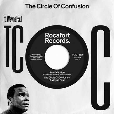 The Circle of Confusion - Soul of a Lion / Soul of a Lion (Dub Mix)