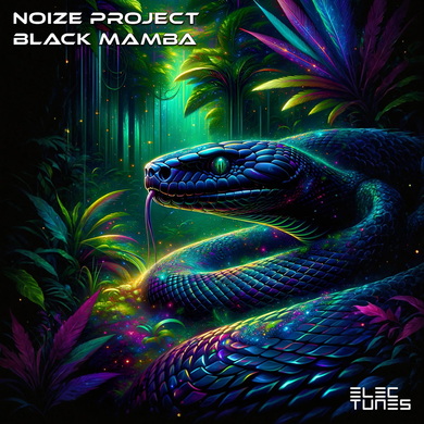 Noize Project - Black Mamba