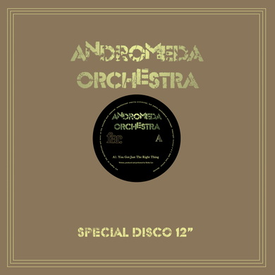 Andromeda Orchestra - You Got Just the Right Thing